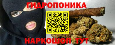 МДПВ Аша