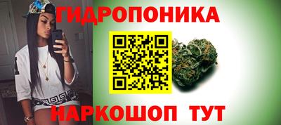 МДПВ Аша